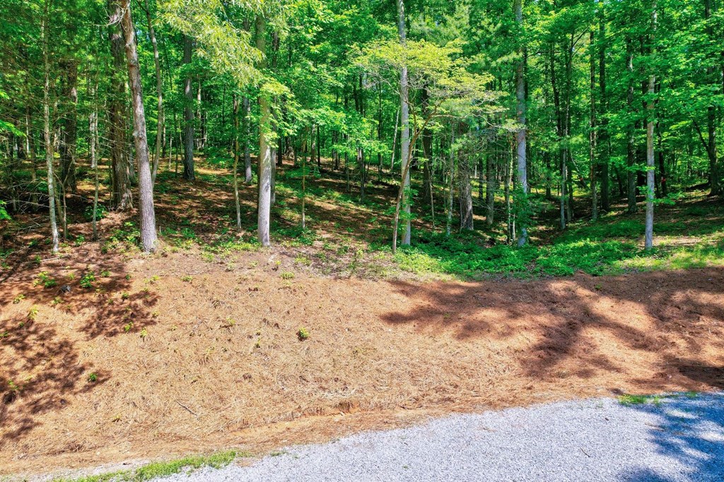 Tract C Crossroads Church Road Ellijay, GA 30540 - Photo 5 of 15 landscaped bank near pavilion