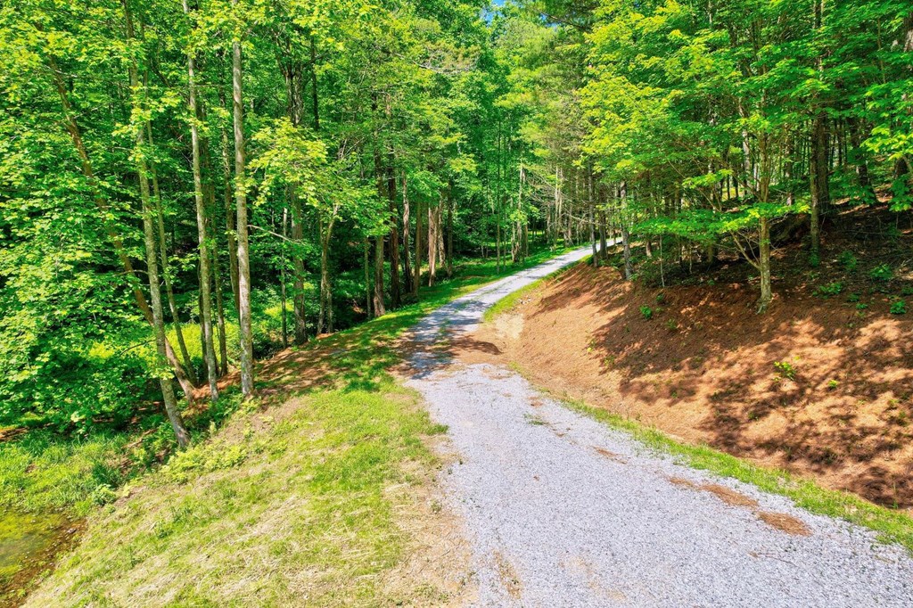 Tract C Crossroads Church Road Ellijay, GA 30540 - Photo 6 of 15 Gallery Image 6