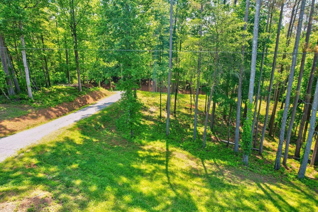 Tract C Crossroads Church Road Ellijay, GA 30540 - Photo 8 of 15 Gallery Image 8