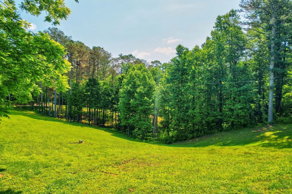 Tract C Crossroads Church Road Ellijay, GA 30540 - Photo 10 of 15 Gallery Image 10