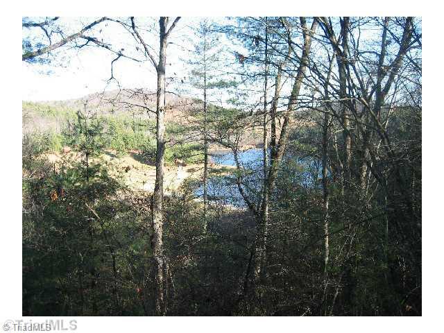 130 Starlight Ridge Ennice, NC 28623 - Photo 2 of 9 Other. View To Lake