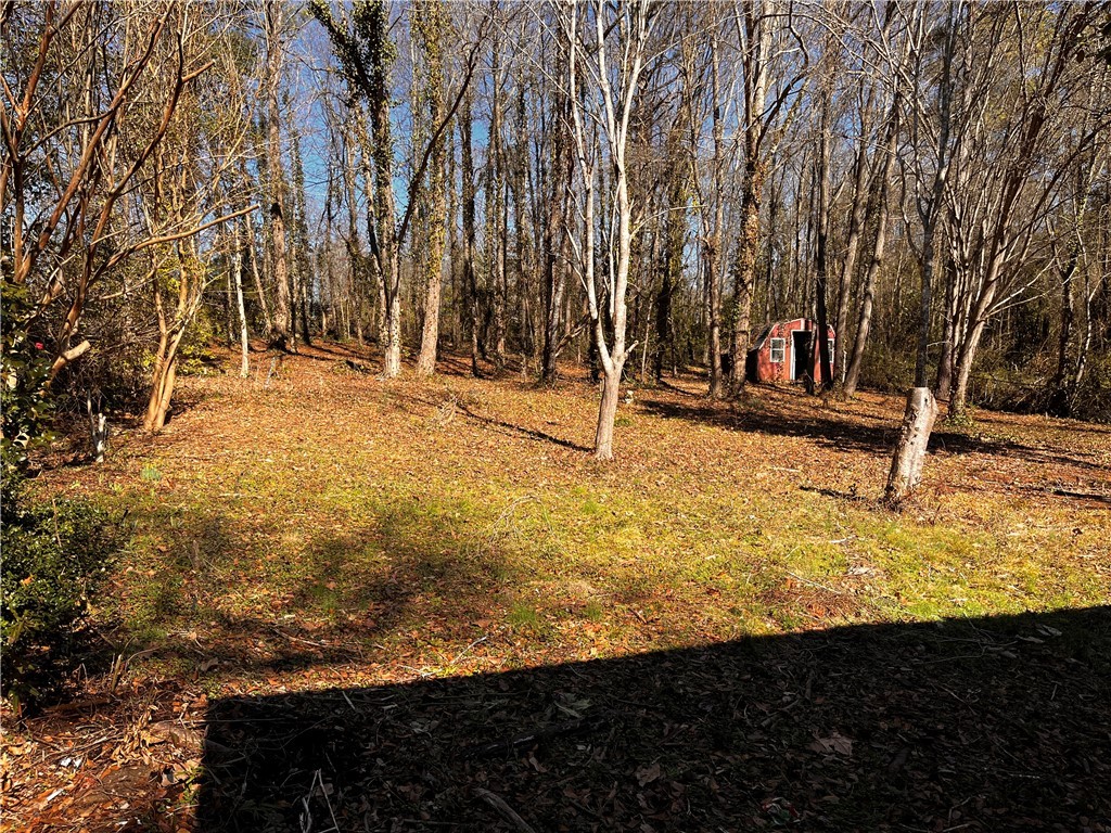 207 Skyview Drive Clemson, SC 29631 - Photo 17 of 18