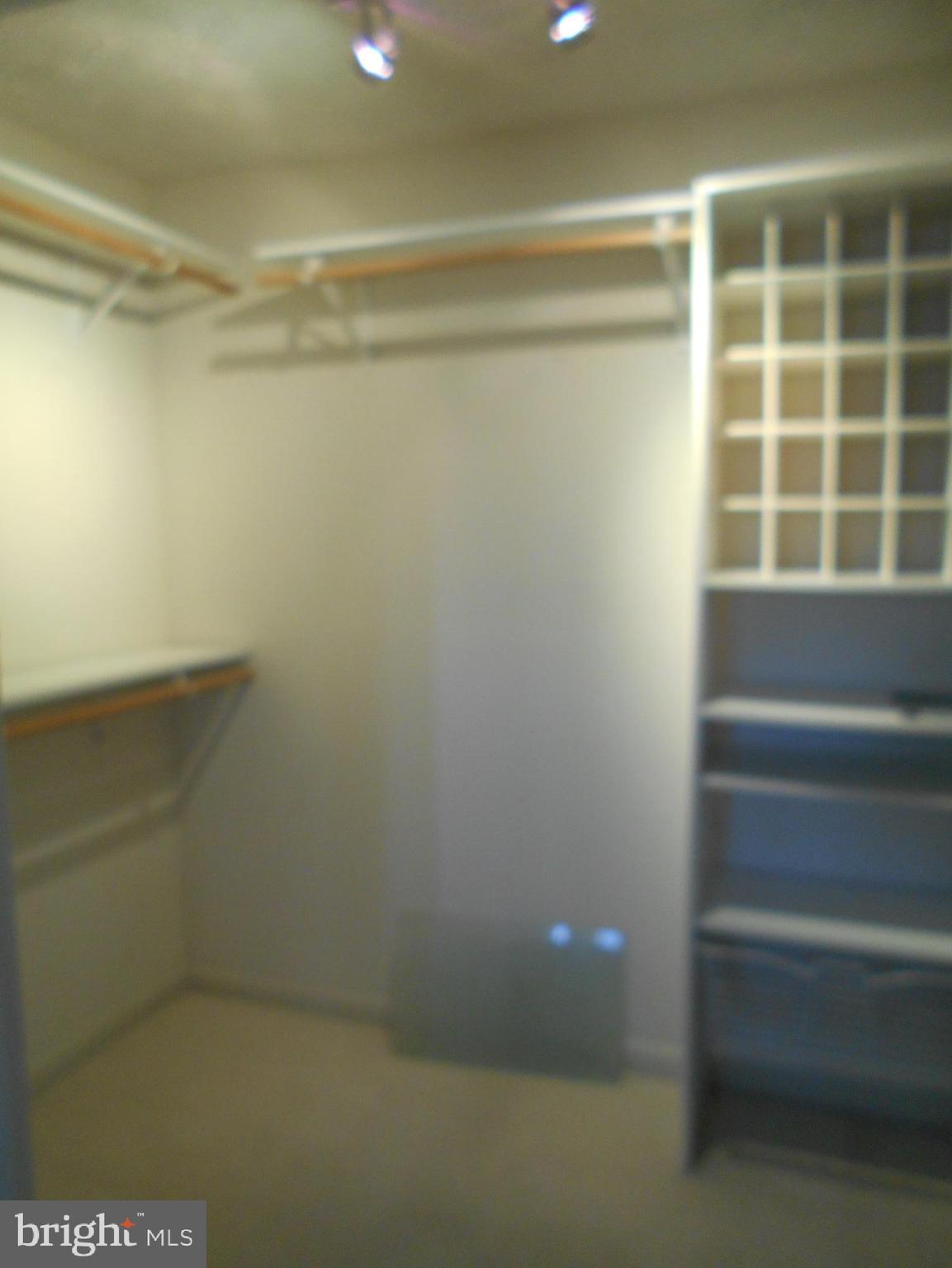 304 Spry Island Road Joppa, MD 21085 - Photo 13 of 24 Walk-in Closet in Primary Bedroom