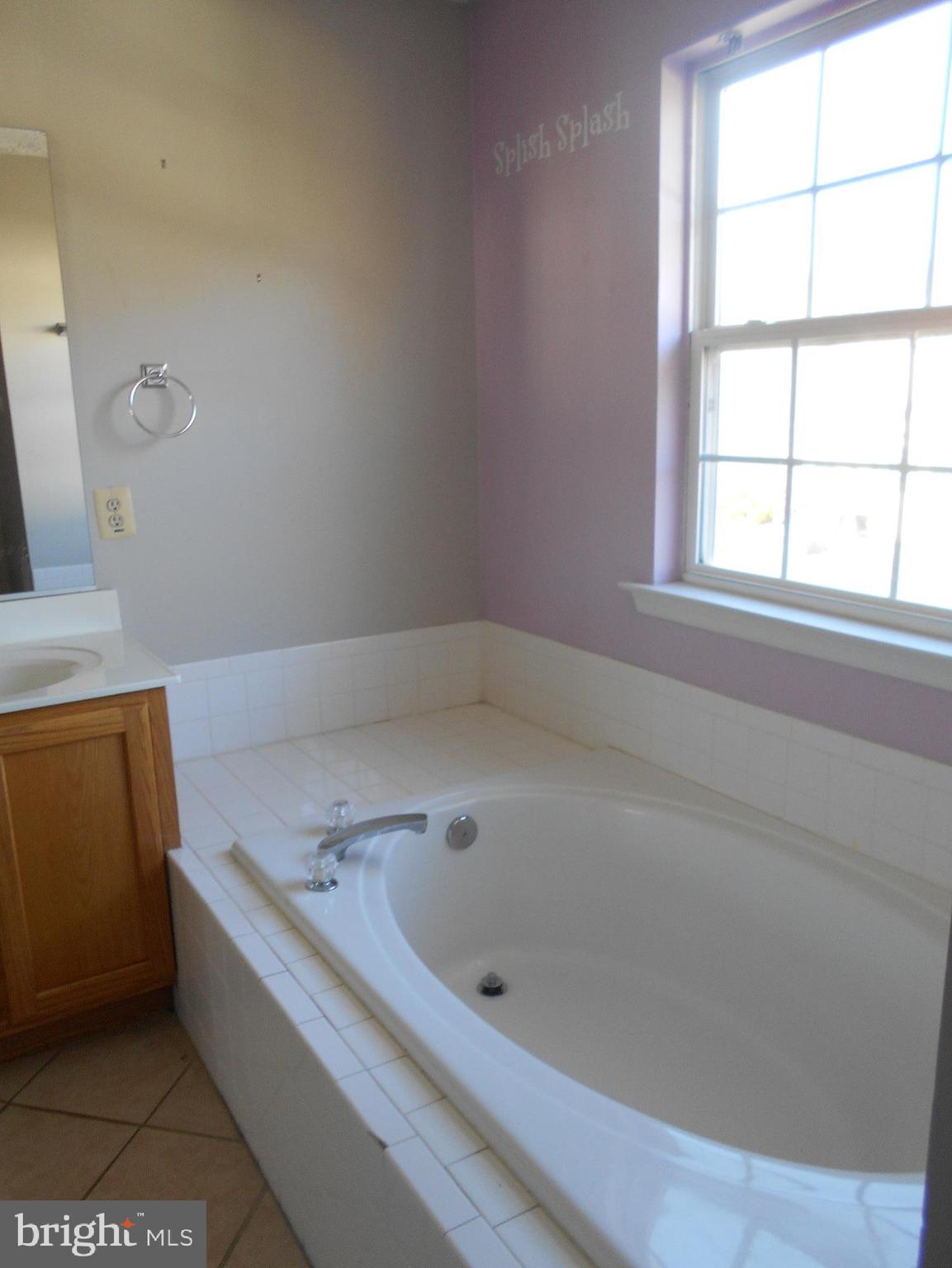 304 Spry Island Road Joppa, MD 21085 - Photo 15 of 24 Primary Bathroom