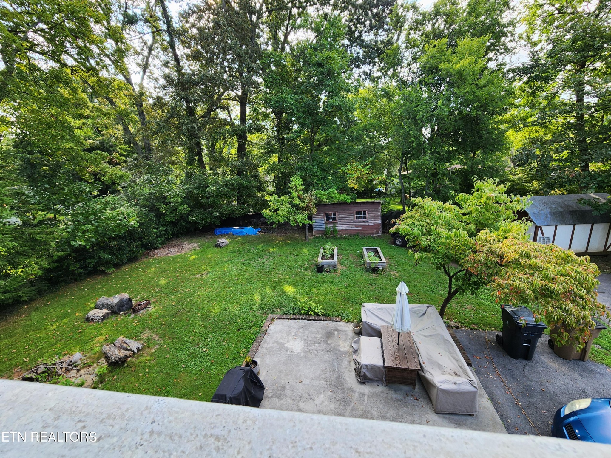 200 East Red Bud Road Knoxville, TN 37920 - Photo 38 of 60 a view of a garden with plants and large trees