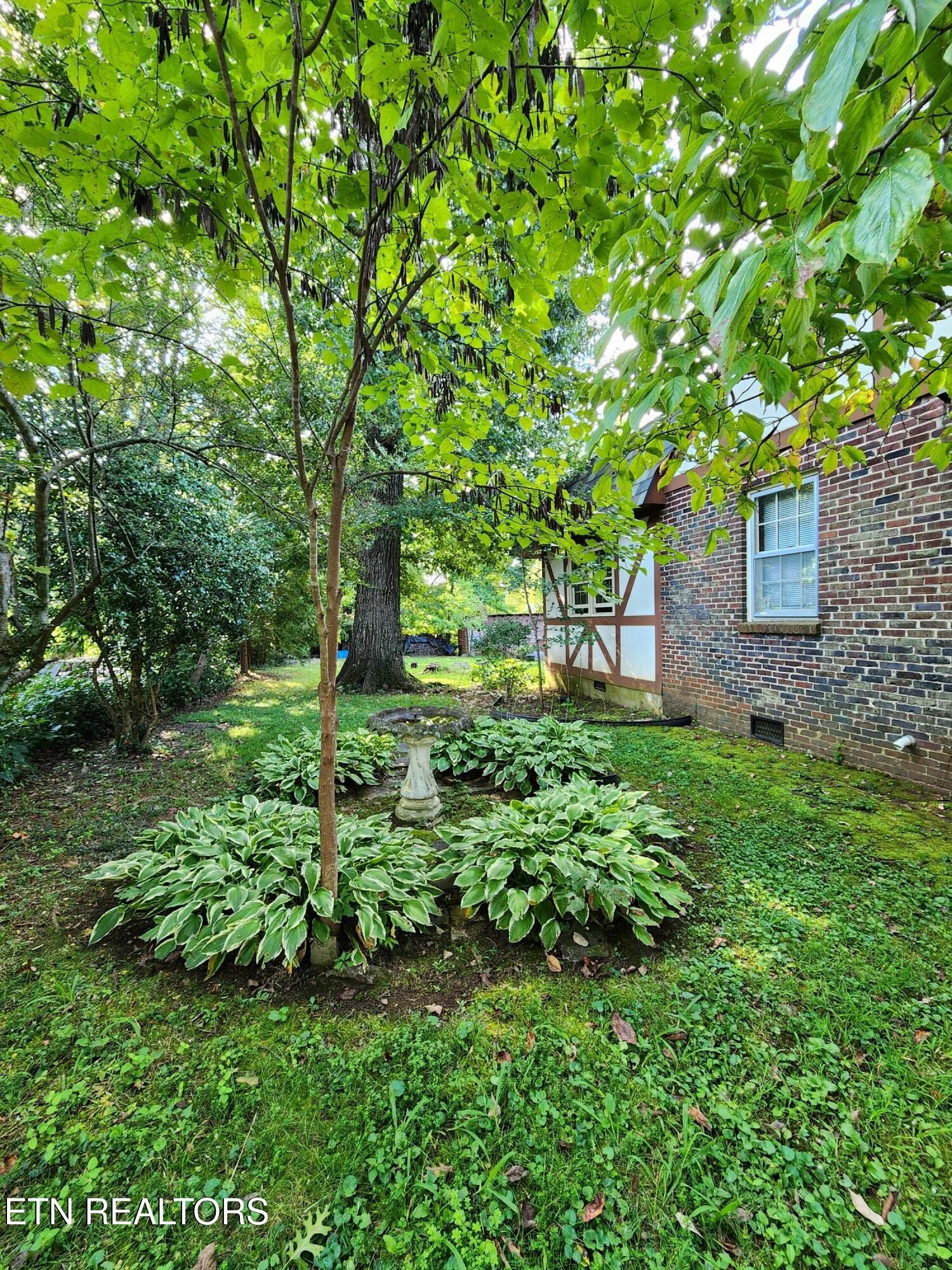 200 East Red Bud Road Knoxville, TN 37920 - Photo 42 of 60 a backyard of a house with lots of green space