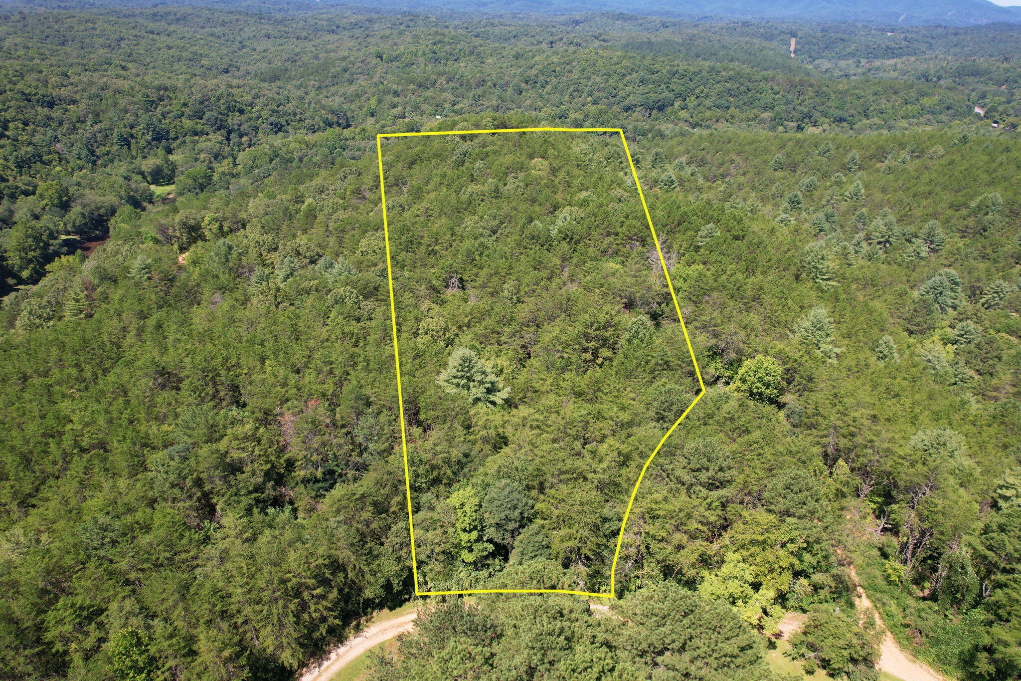 0 Staffordtown Road Copperhill, TN 37317 - Photo 3 of 12 a view of a forest