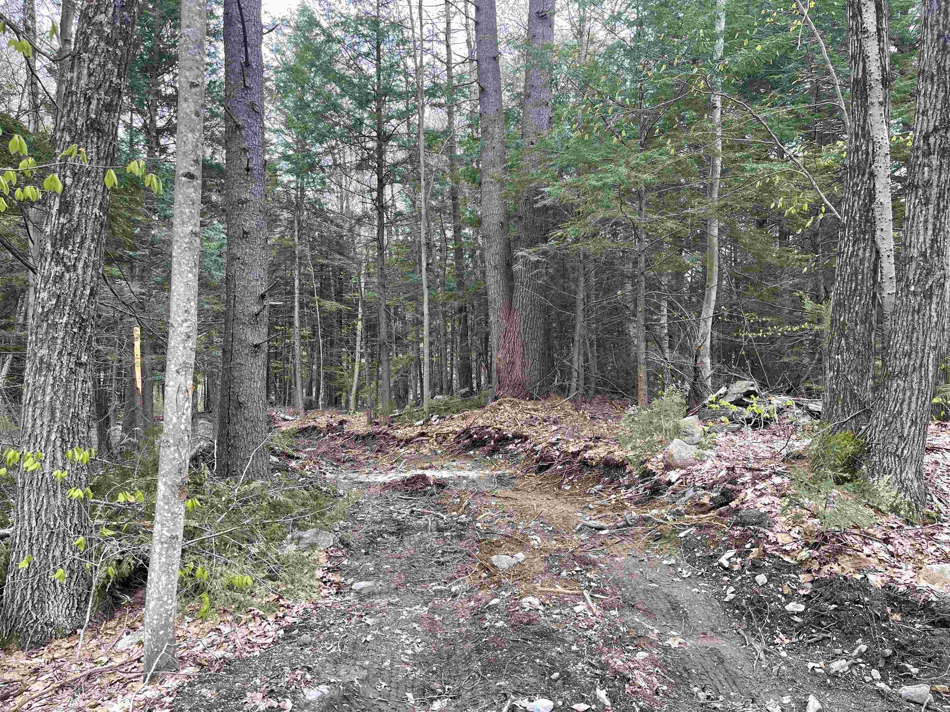 0 Bugbee Road Springfield, VT 05156 - Photo 1 of 4 Gallery Image 1
