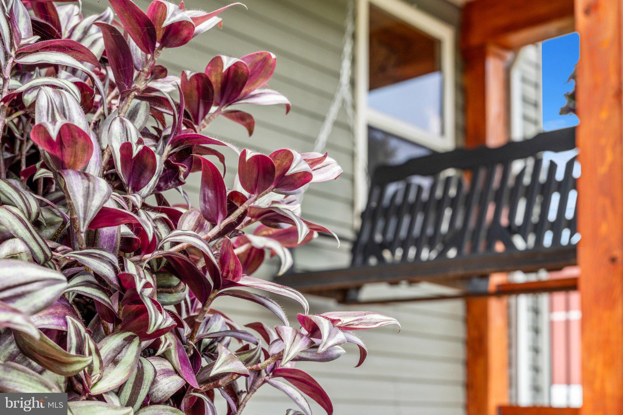 901 Mt Hope Road McVeytown, PA 17051 - Photo 6 of 44 Charming porch with vibrant foliage.