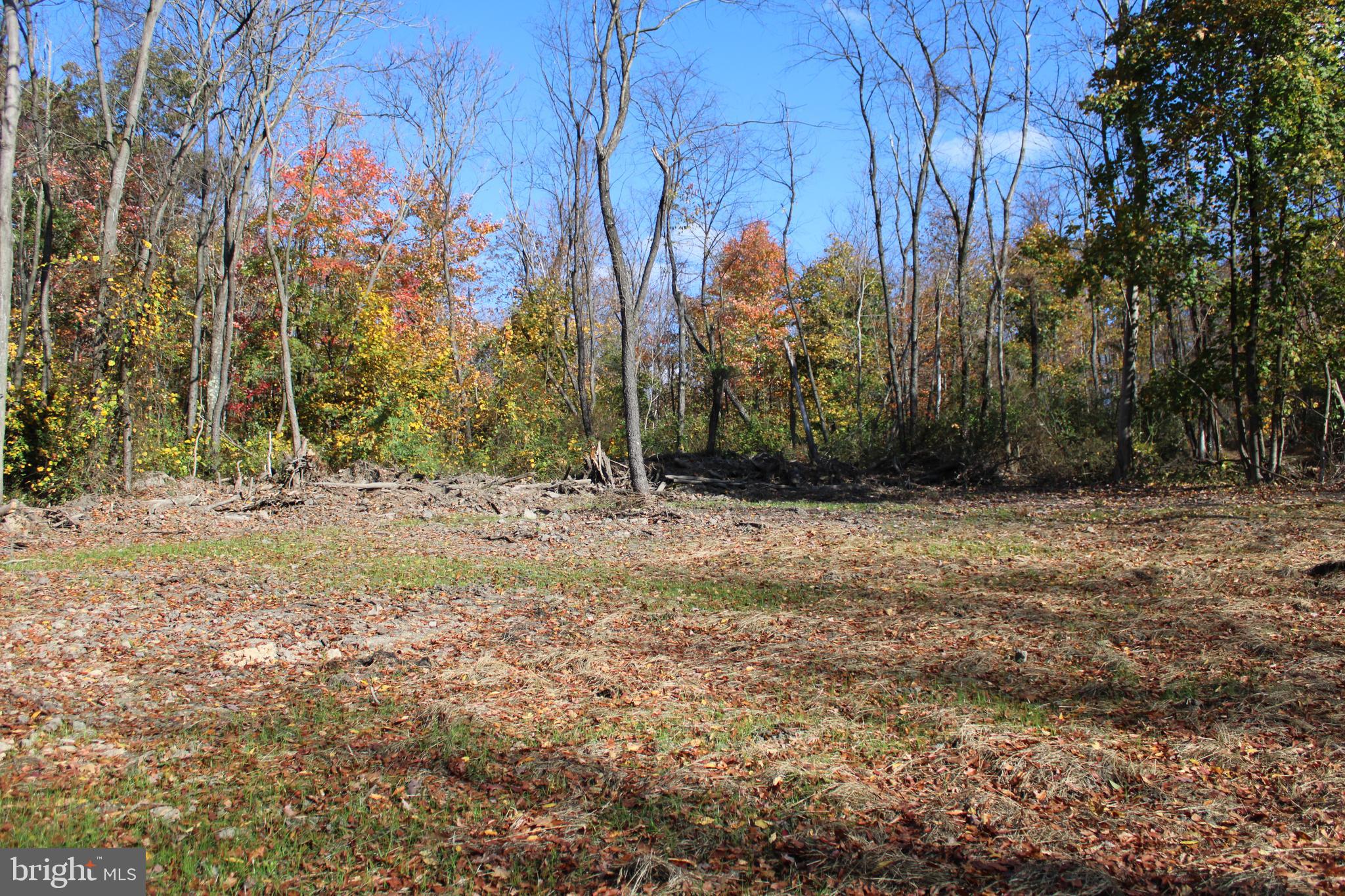 76-acres Queens Point Road Southwest Westernport, MD 21562 - Photo 21 of 74