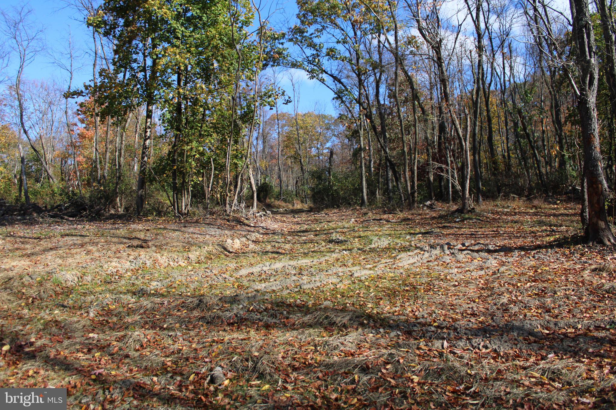76-acres Queens Point Road Southwest Westernport, MD 21562 - Photo 22 of 74