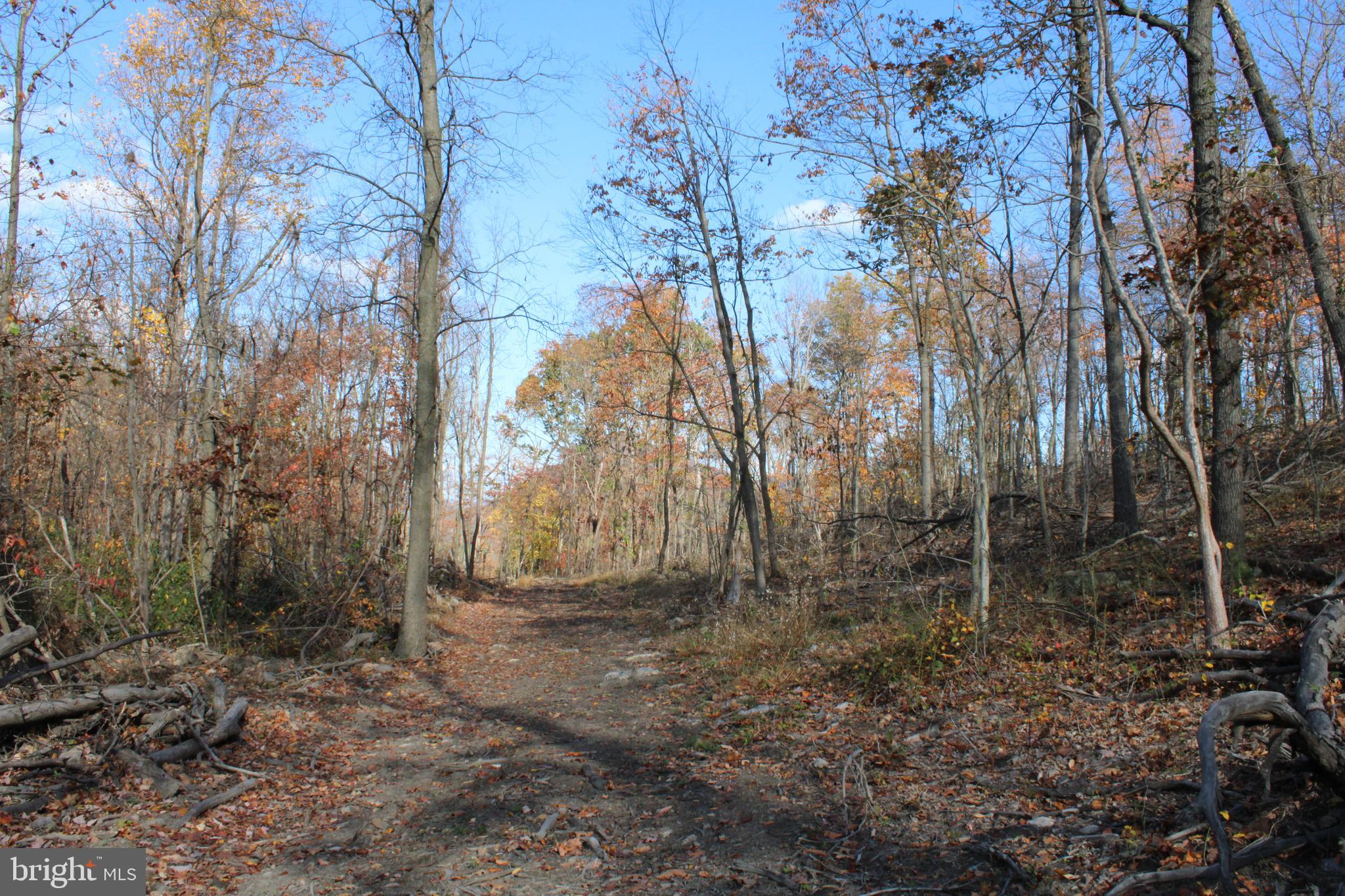 76-acres Queens Point Road Southwest Westernport, MD 21562 - Photo 24 of 74