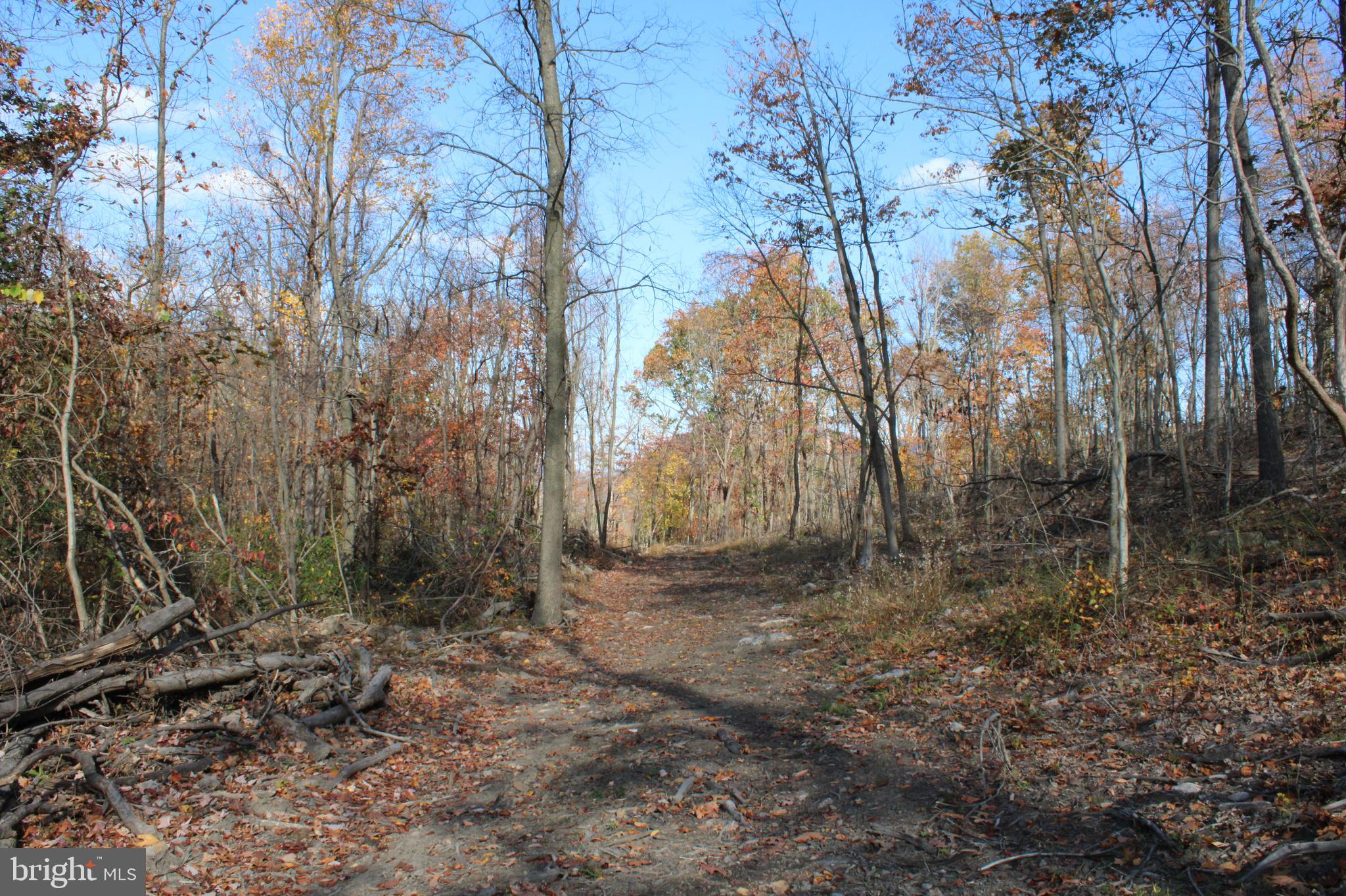 76-acres Queens Point Road Southwest Westernport, MD 21562 - Photo 25 of 74