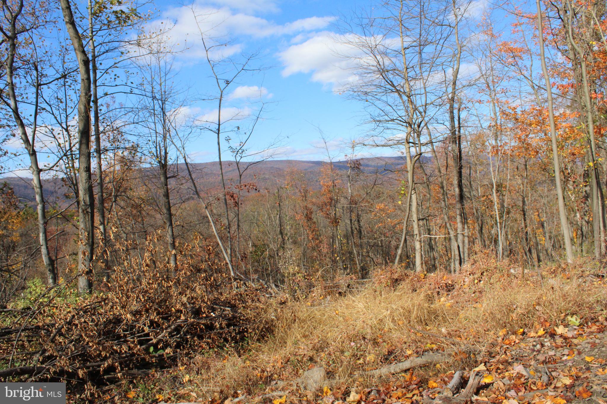 76-acres Queens Point Road Southwest Westernport, MD 21562 - Photo 29 of 74
