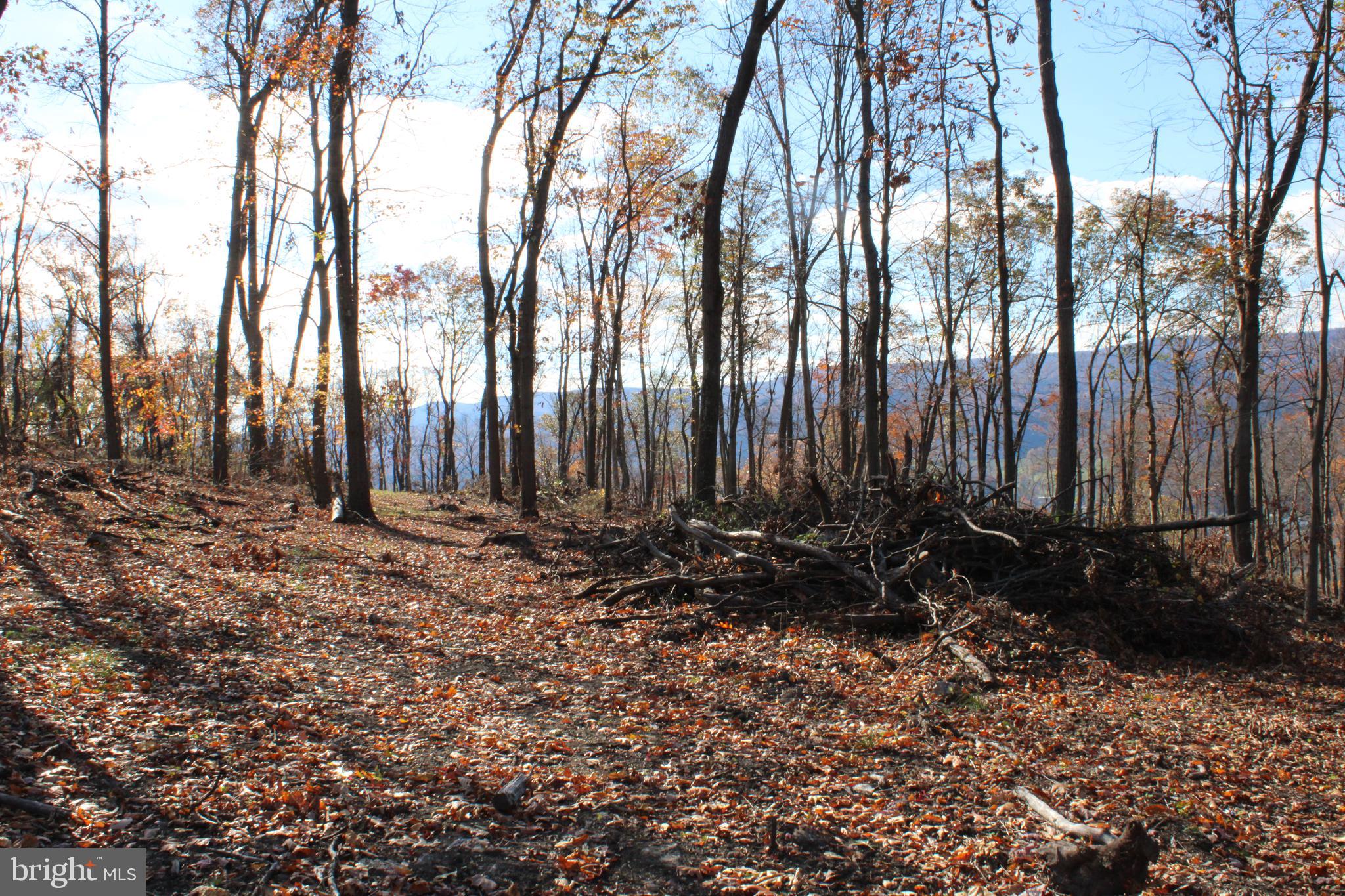 76-acres Queens Point Road Southwest Westernport, MD 21562 - Photo 53 of 74