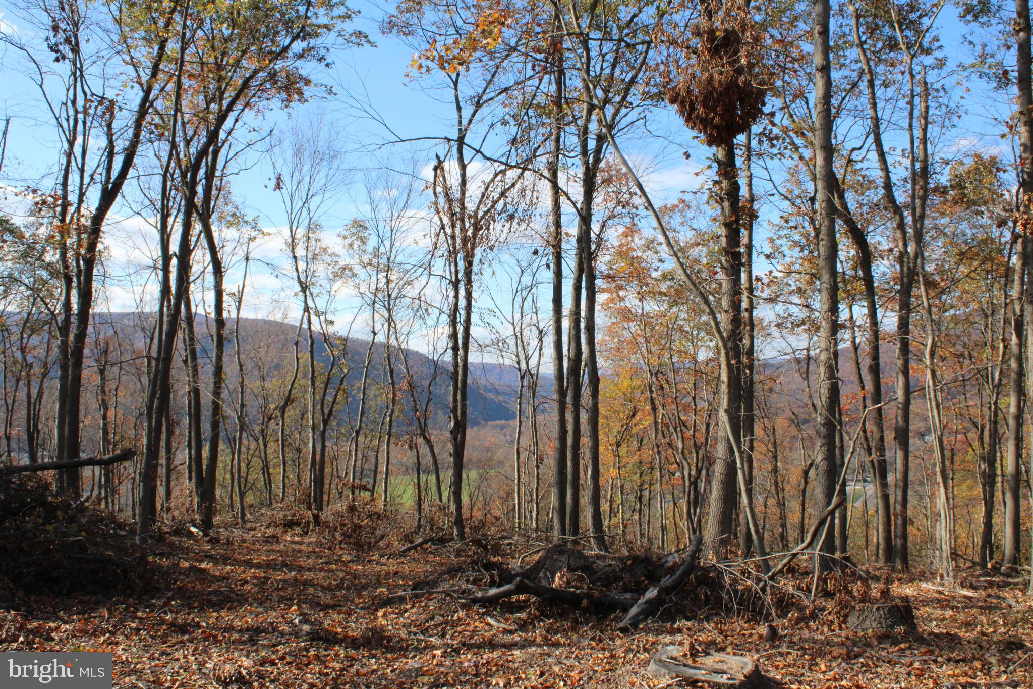 76-acres Queens Point Road Southwest Westernport, MD 21562 - Photo 54 of 74