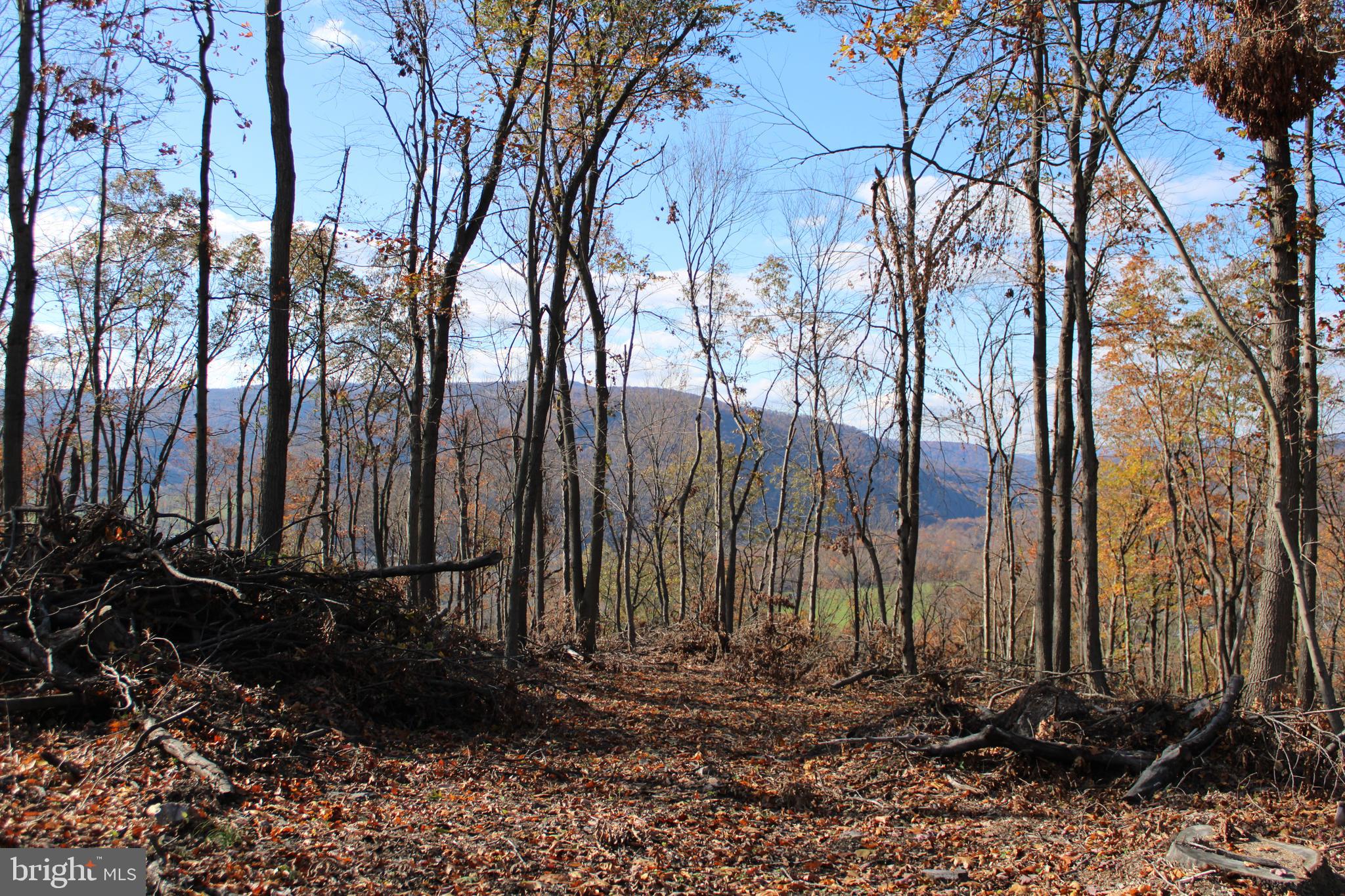 76-acres Queens Point Road Southwest Westernport, MD 21562 - Photo 55 of 74