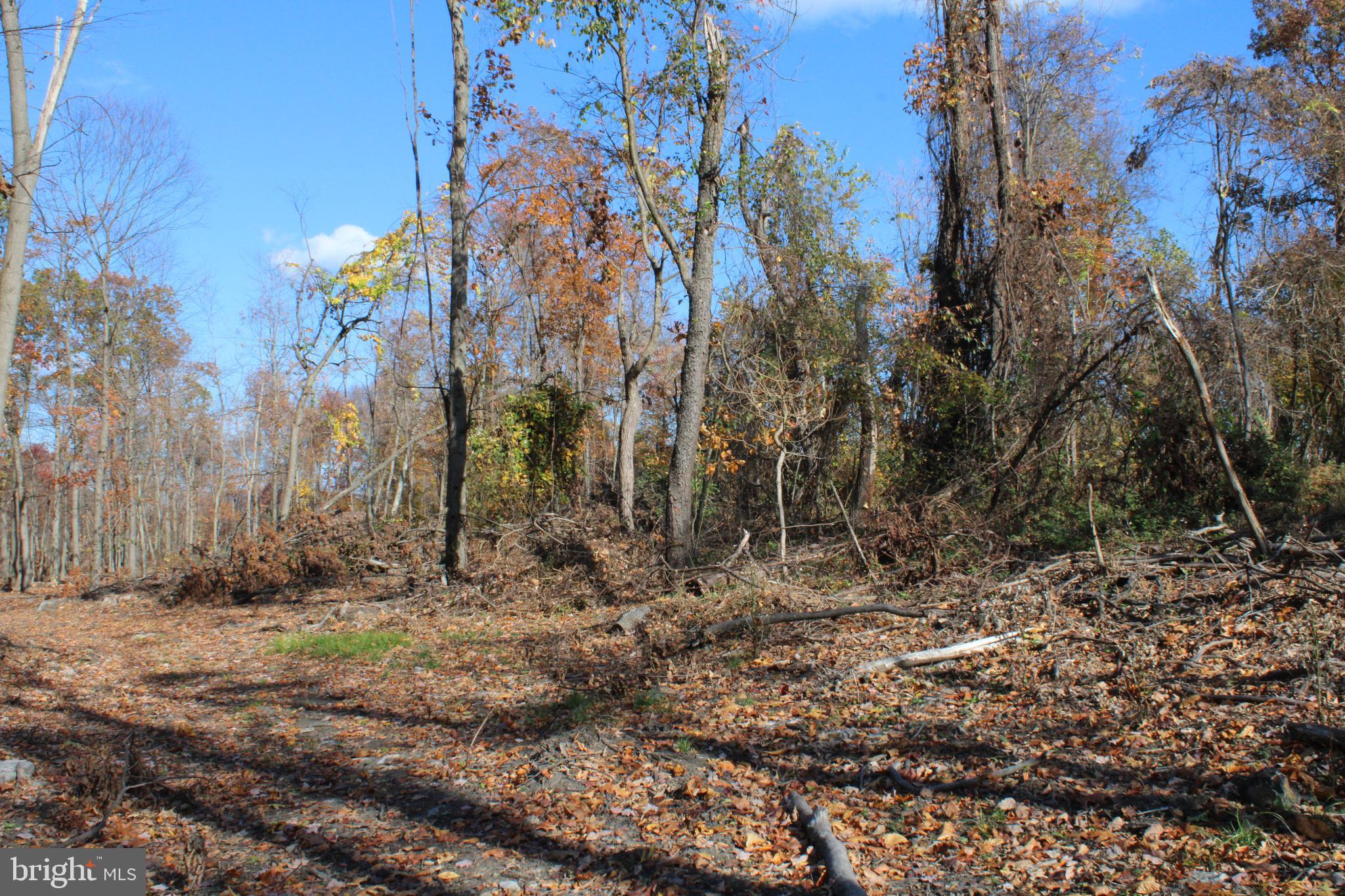 76-acres Queens Point Road Southwest Westernport, MD 21562 - Photo 57 of 74
