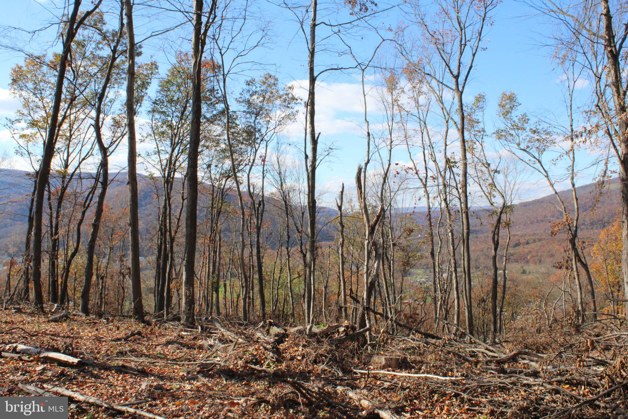 76-acres Queens Point Road Southwest Westernport, MD 21562 - Photo 58 of 74