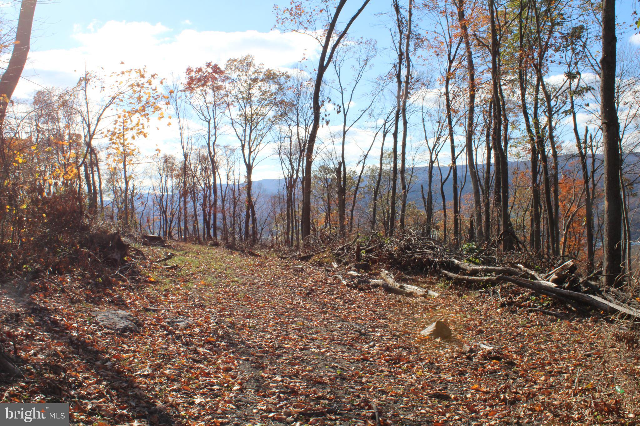 76-acres Queens Point Road Southwest Westernport, MD 21562 - Photo 59 of 74