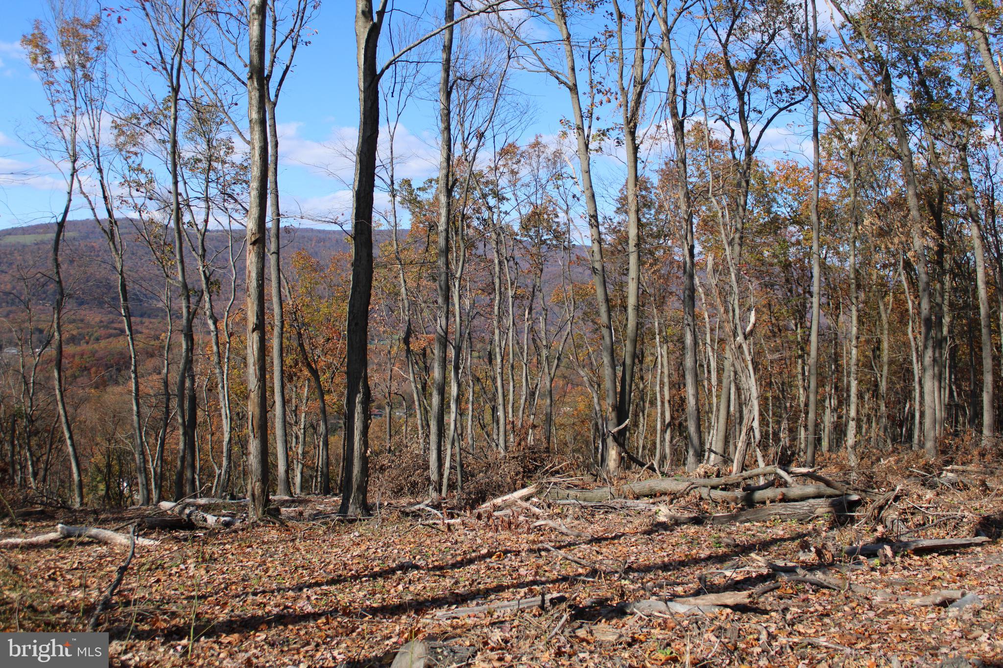 76-acres Queens Point Road Southwest Westernport, MD 21562 - Photo 61 of 74