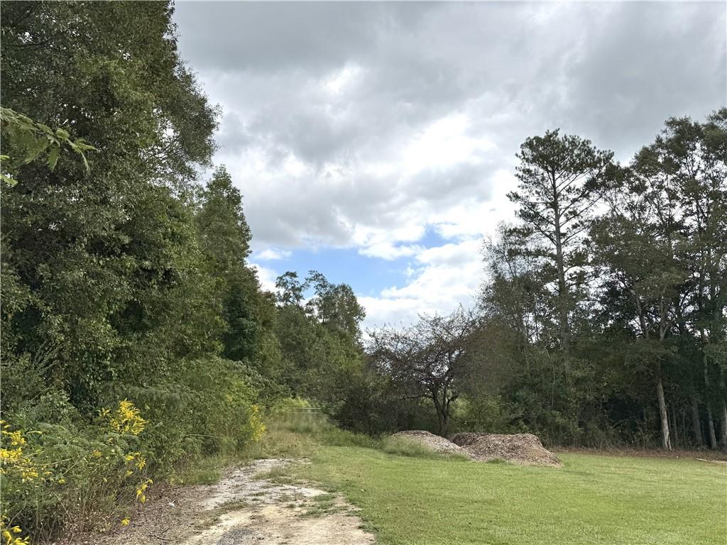 0 Magnolia Street Bowdon, GA 30108 - Photo 3 of 3 a view of a lake with lots of trees