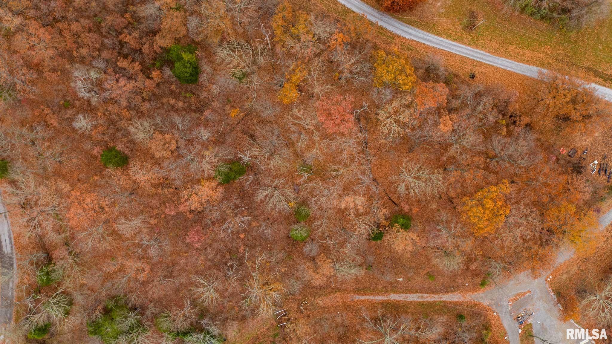 0 Cut-Off Road Creal Springs, IL 62922 - Photo 14 of 24