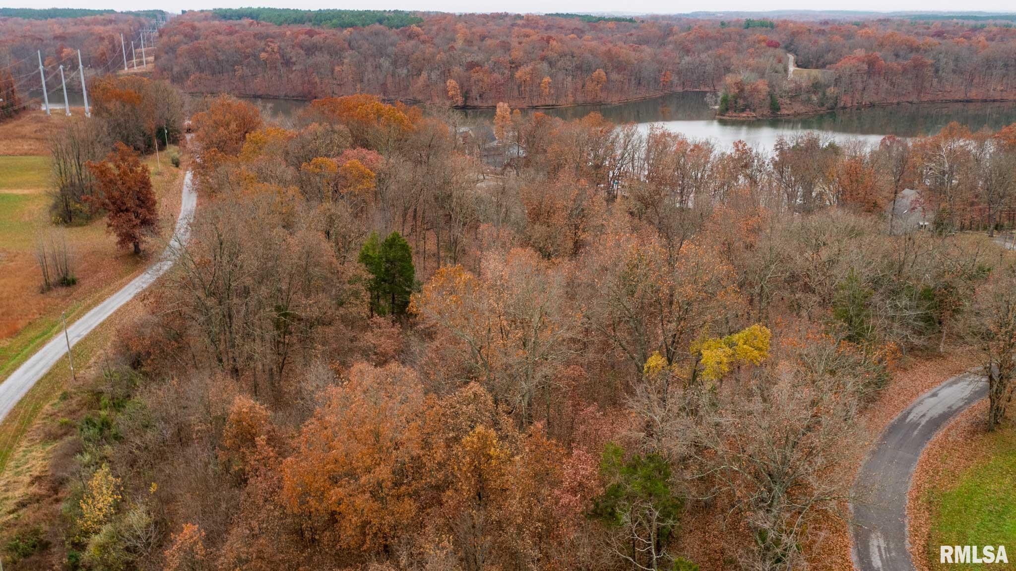 0 Cut-Off Road Creal Springs, IL 62922 - Photo 17 of 24