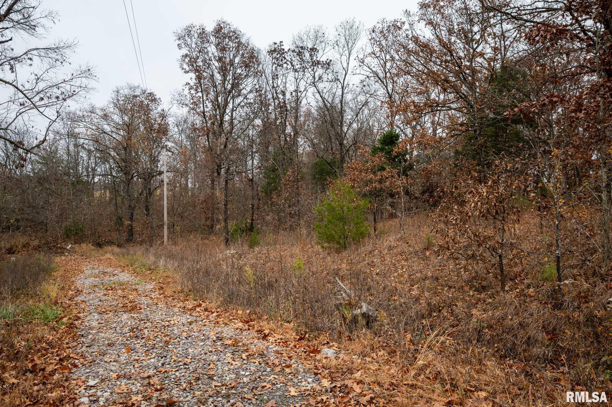 0 Cut-Off Road Creal Springs, IL 62922 - Photo 20 of 24