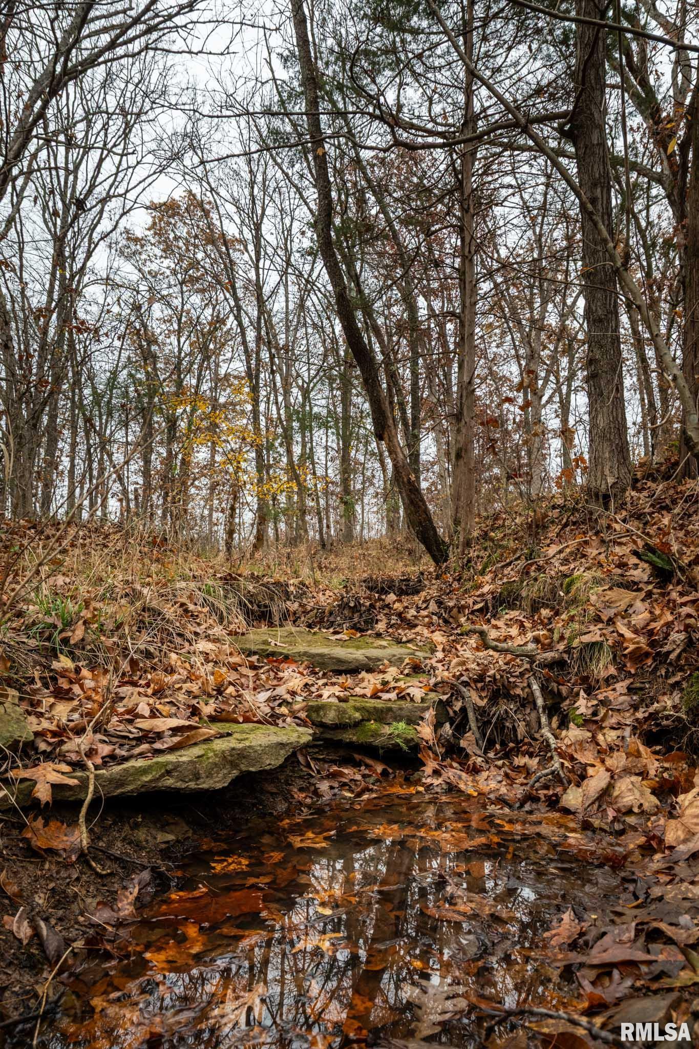 0 Cut-Off Road Creal Springs, IL 62922 - Photo 23 of 24