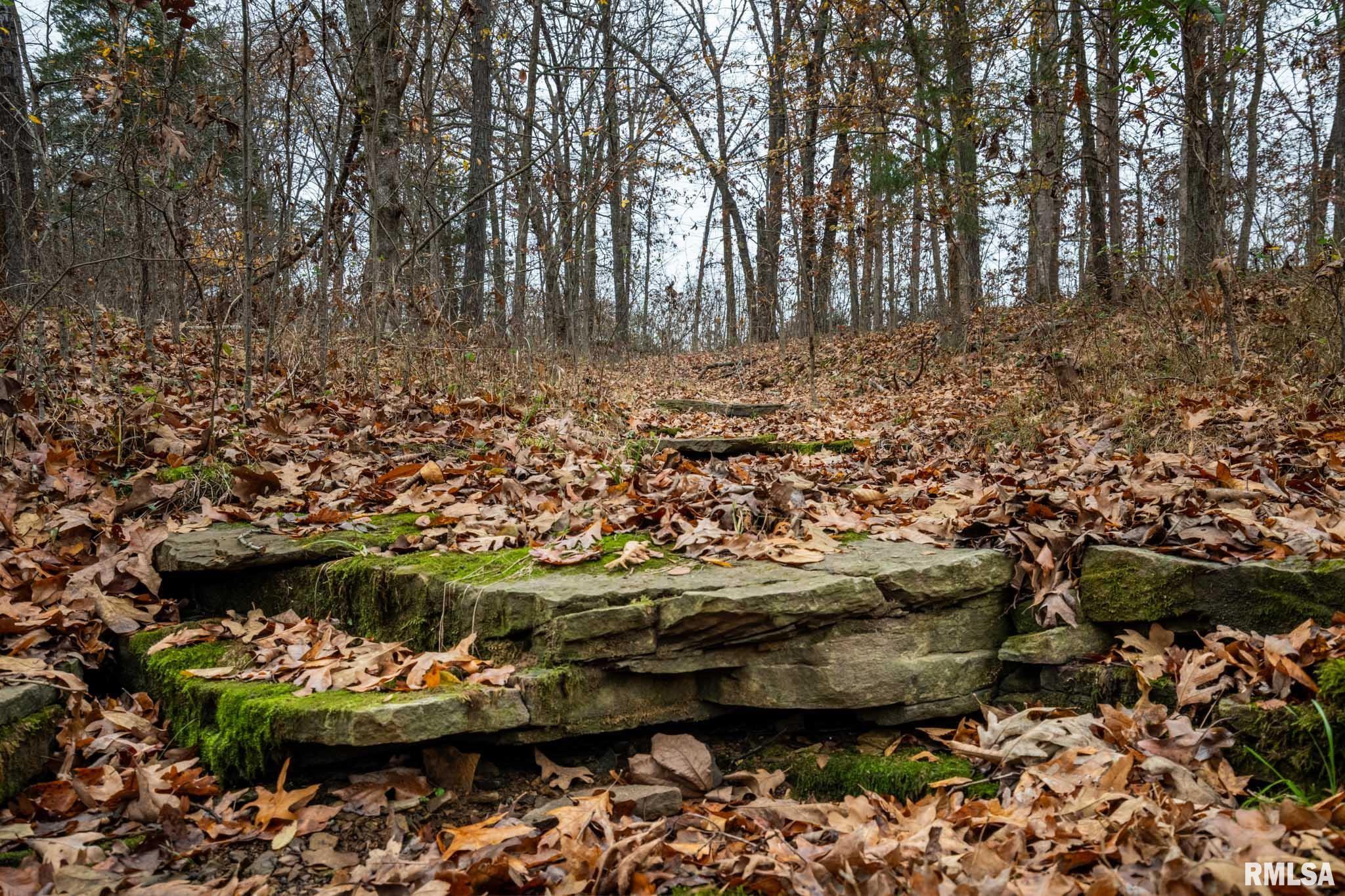0 Cut-Off Road Creal Springs, IL 62922 - Photo 24 of 24