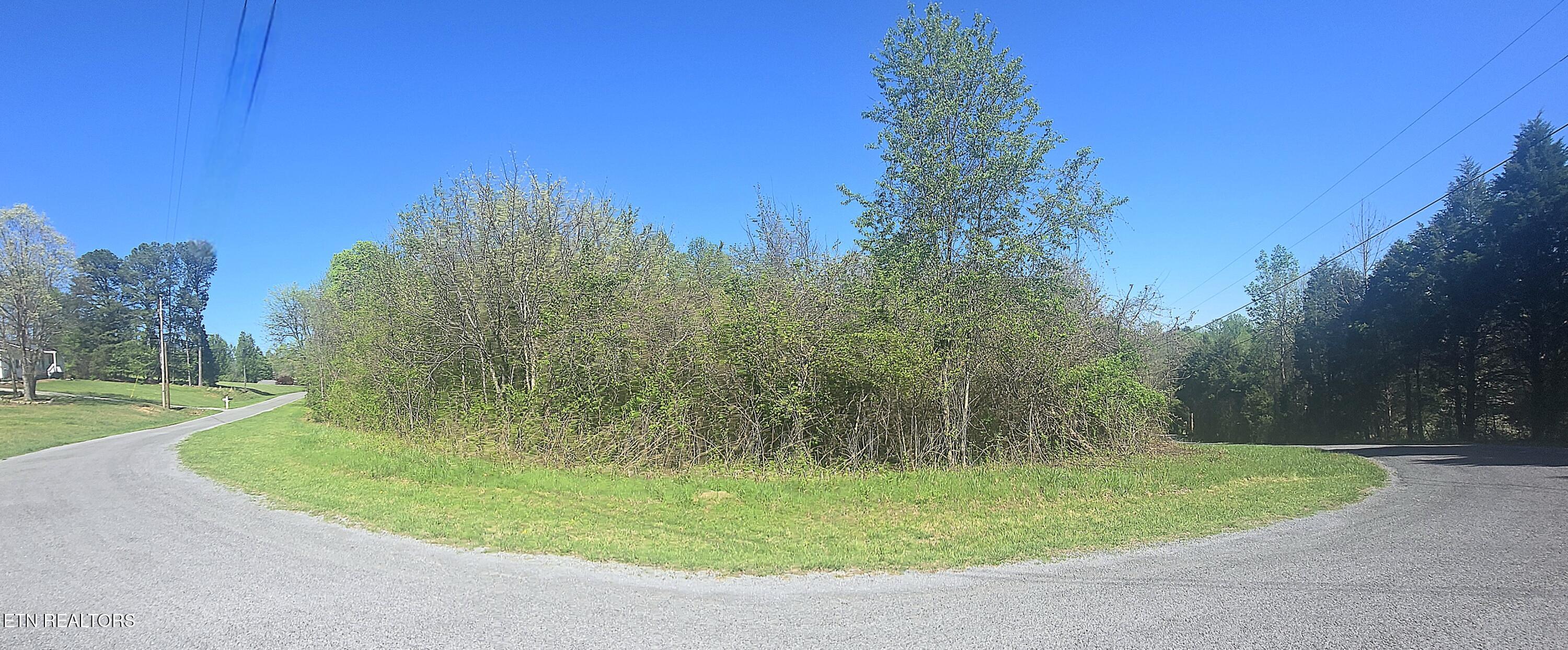 Lot 68 King Hill Rd Spring Spring City, TN 37381 - Photo 8 of 10 20250408_154533