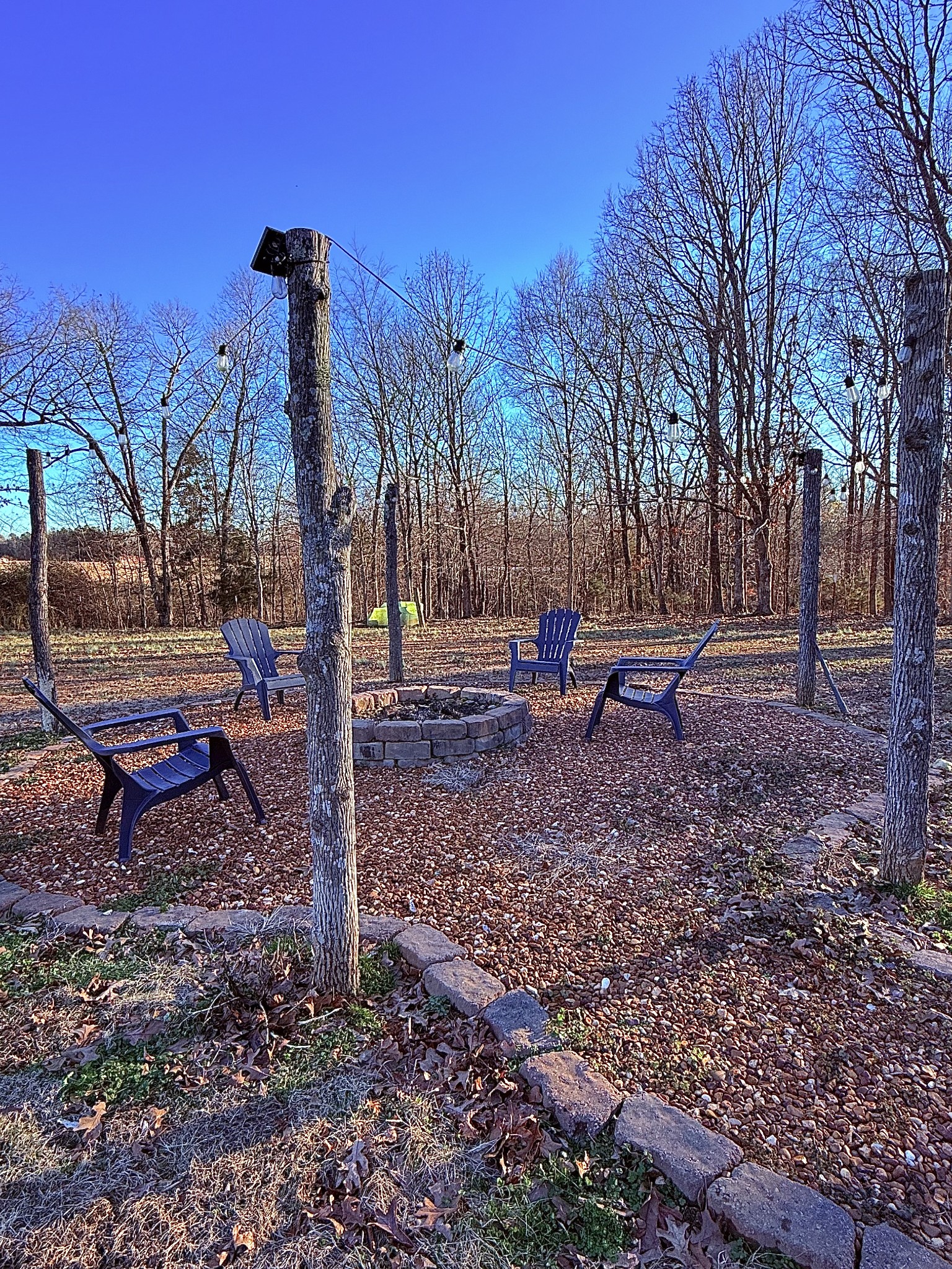 6843 Rabbit Creek Road Buchanan, TN 38222 - Photo 4 of 61 a view of a park with a tree