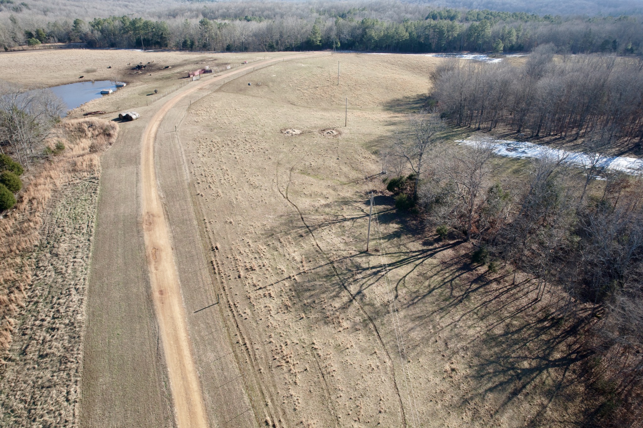6843 Rabbit Creek Road Buchanan, TN 38222 - Photo 56 of 61 a view of a dry yard with trees
