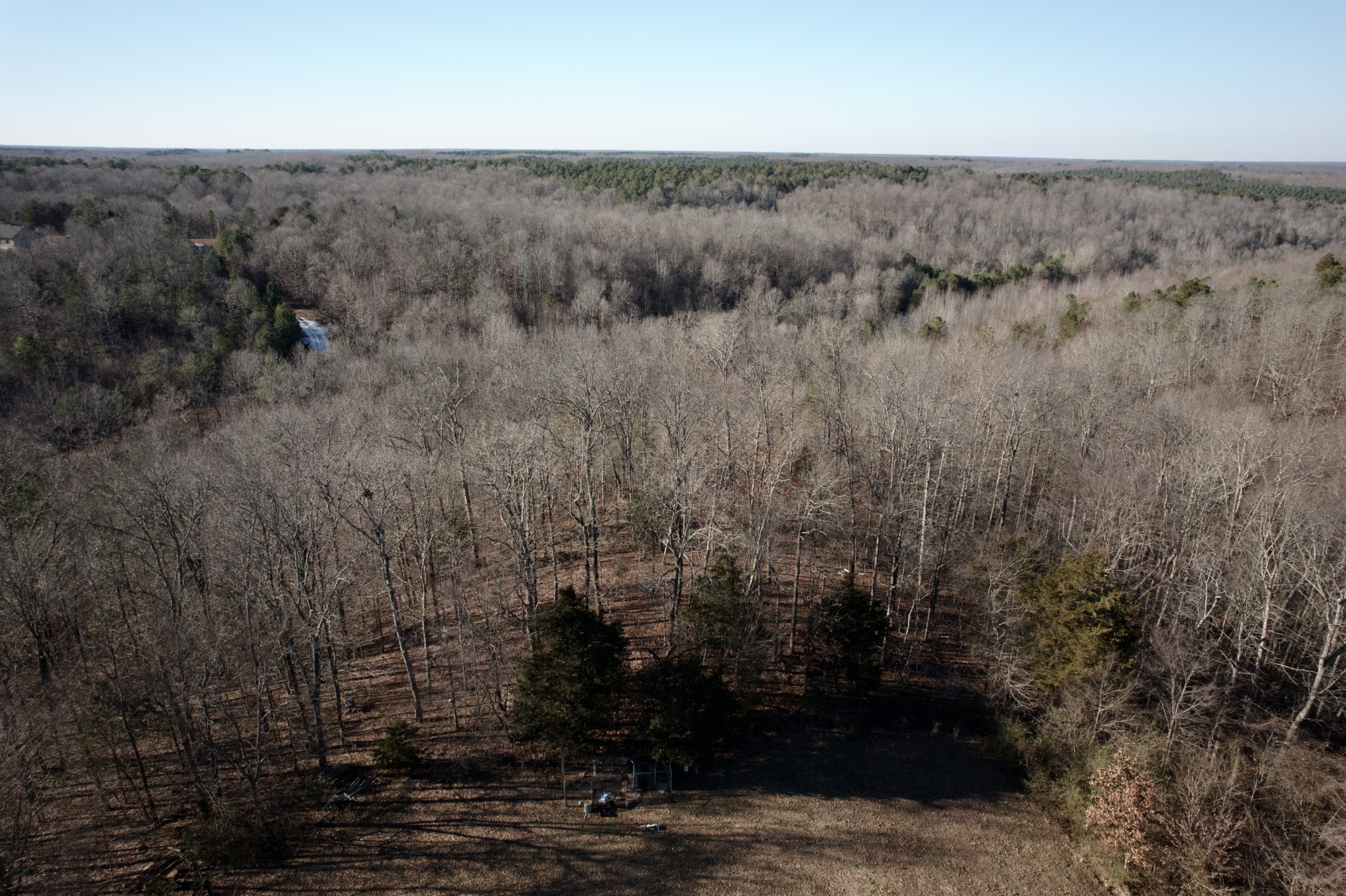 6843 Rabbit Creek Road Buchanan, TN 38222 - Photo 57 of 61