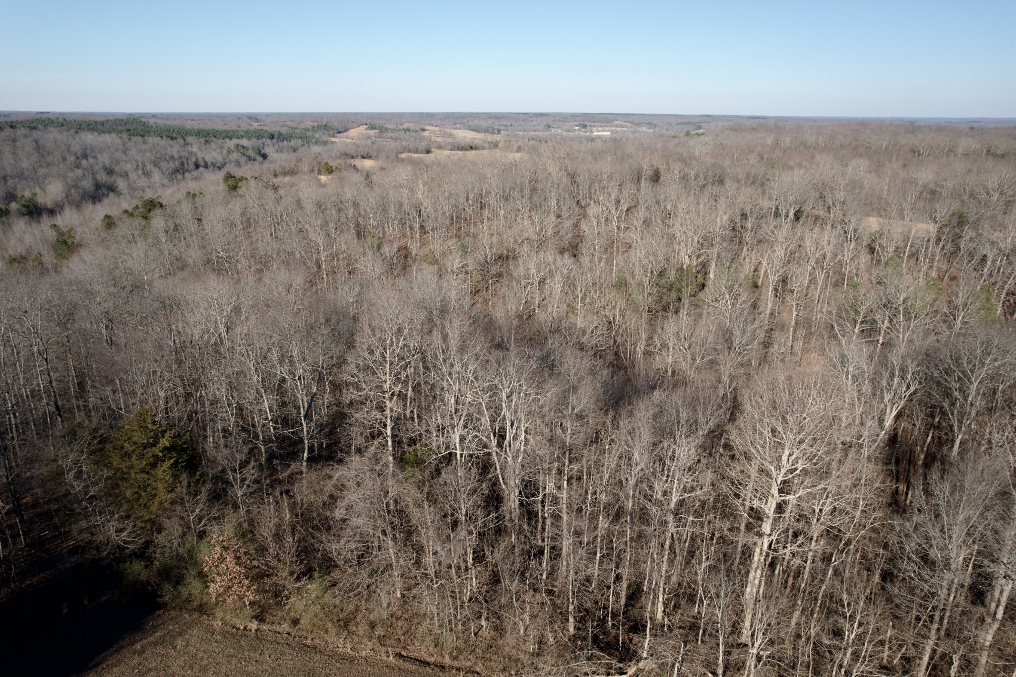 6843 Rabbit Creek Road Buchanan, TN 38222 - Photo 61 of 61 a view of a dry yard