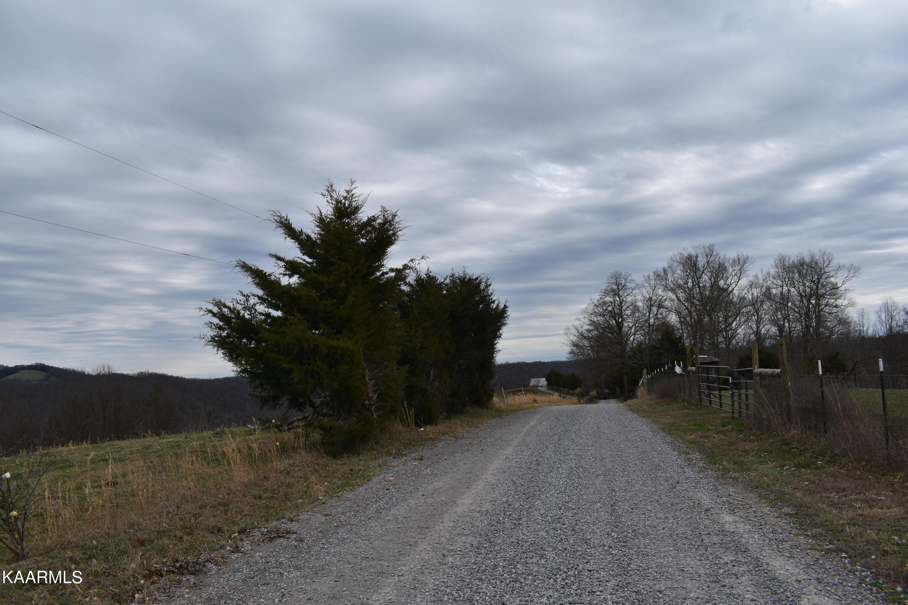 Lot 7 Jones Ridge Road Speedwell, TN 37870 - Photo 3 of 4 DSC_0006
