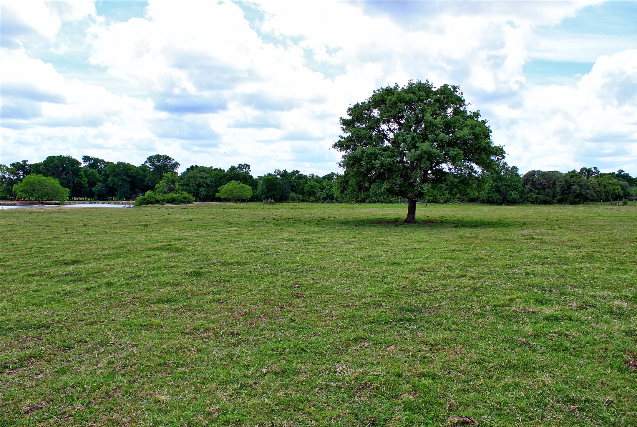 Tbd Harmony Road Weimar, TX 78962 - Photo 24 of 28