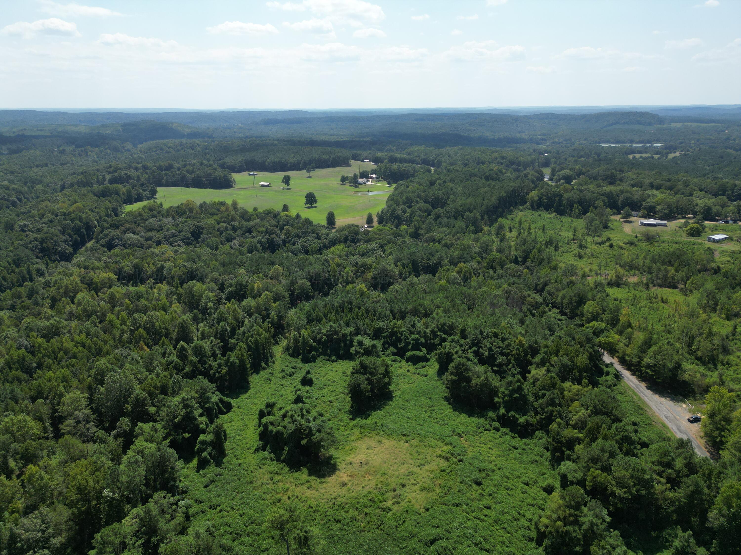 0 Old Baltimore Road Parrish, AL 35580 - Photo 26 of 33 Gallery Image 26
