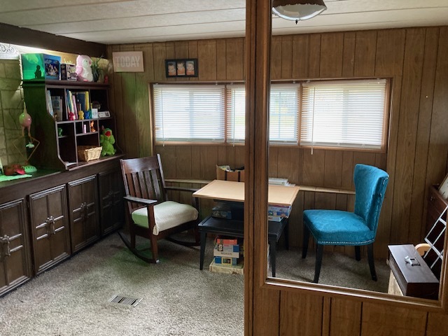 495 West 6th Street Braidwood, IL 60408 - Photo 2 of 7 a living room with furniture and a potted plant