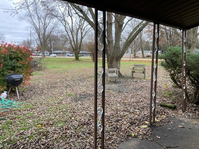 495 West 6th Street Braidwood, IL 60408 - Photo 7 of 7 a view of a backyard with a garden