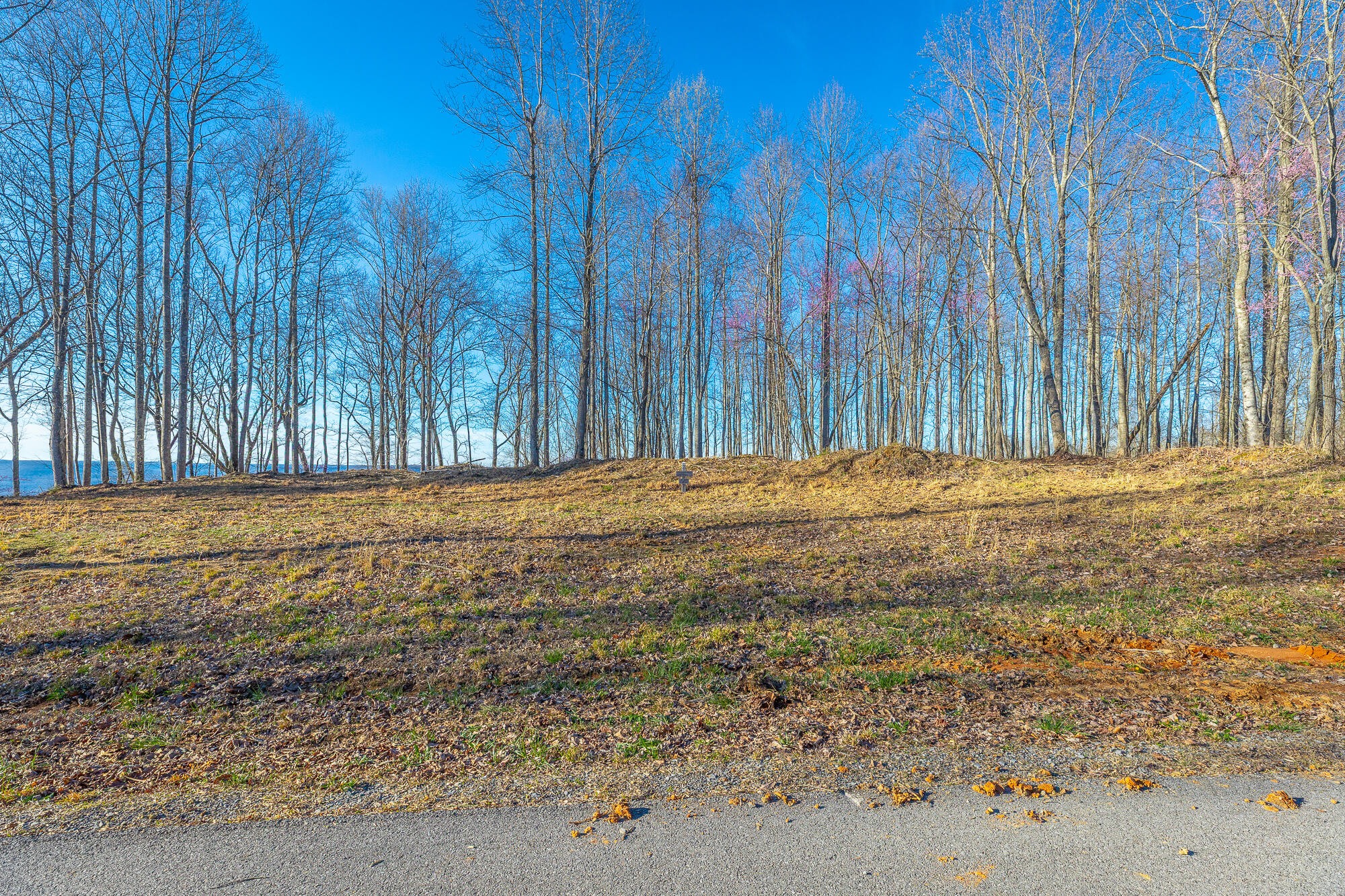 0 Cherokee Path, Unit JF269 Jasper, TN 37347 - Photo 21 of 94 0 Cherokee Path - JF269 HD-18