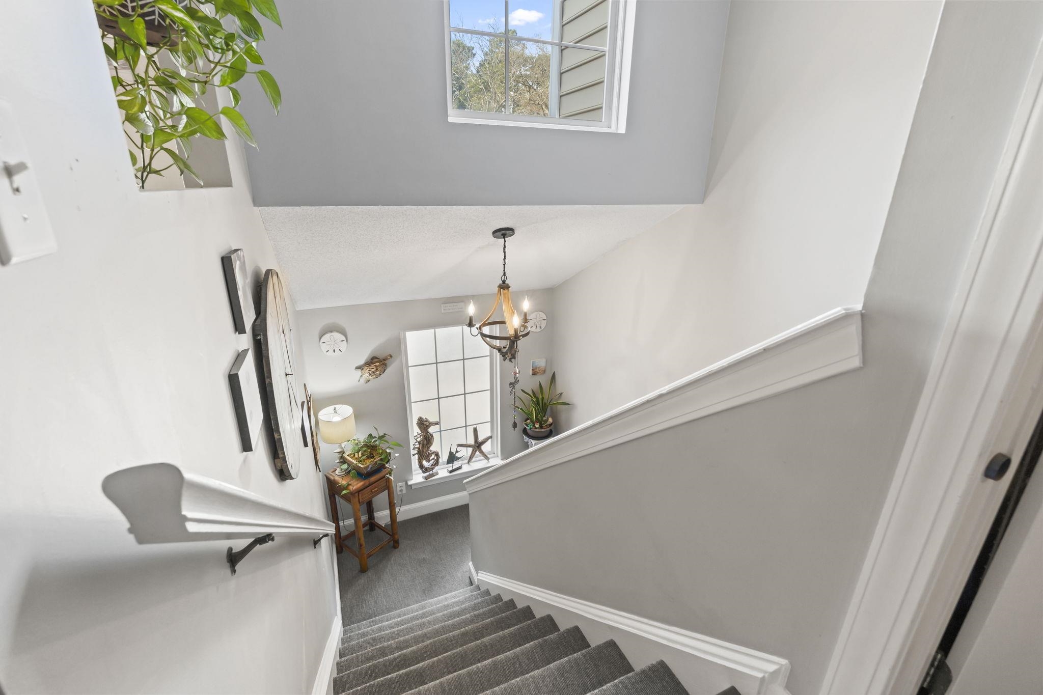 4383 Daphne Lane, Unit F Murrells Inlet, SC 29576 - Photo 6 of 35 Staircase featuring carpet flooring and a chandelier