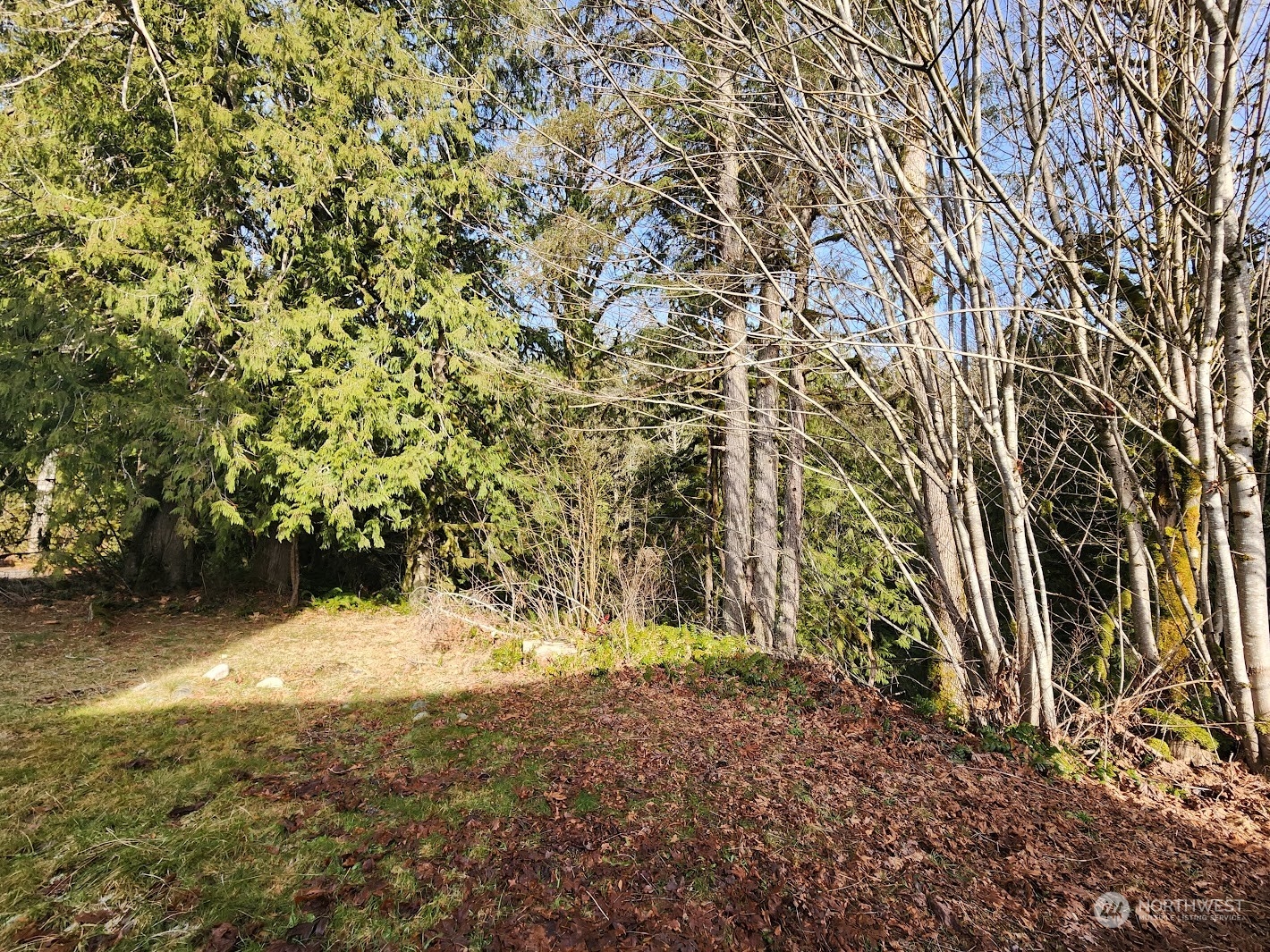 6858 Silver Lake Road Maple Falls, WA 98266 - Photo 13 of 13