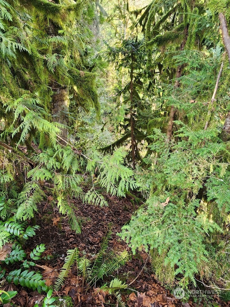 6858 Silver Lake Road Maple Falls, WA 98266 - Photo 7 of 13