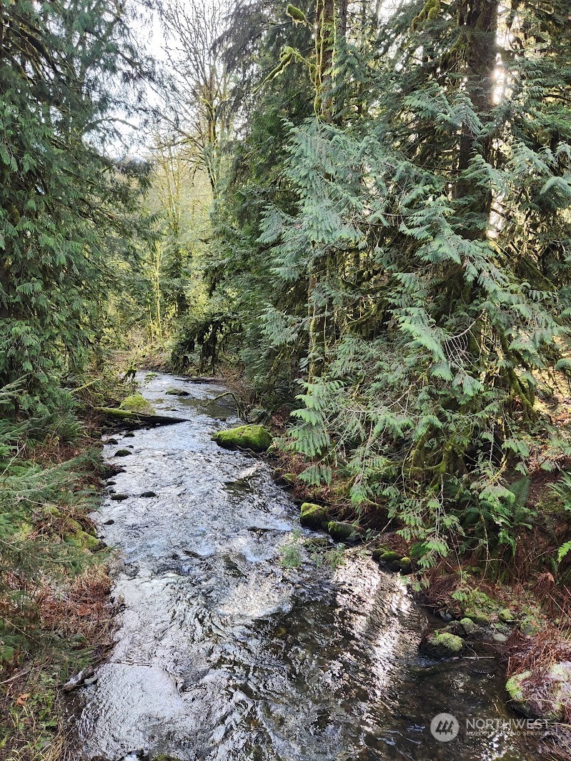 6858 Silver Lake Road Maple Falls, WA 98266 - Photo 8 of 13