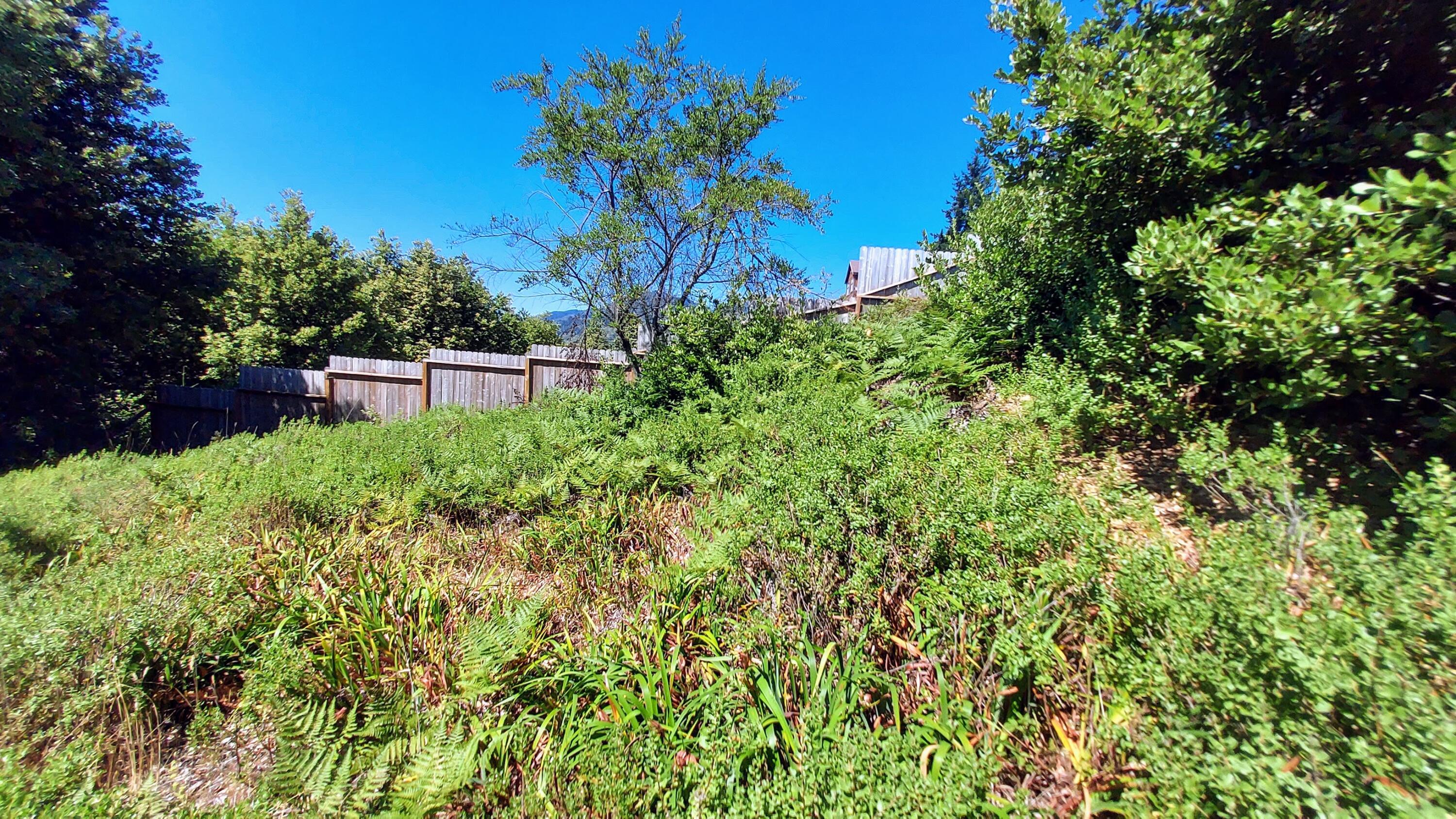27 Cook Road Shelter Cove, CA 95589 - Photo 7 of 22