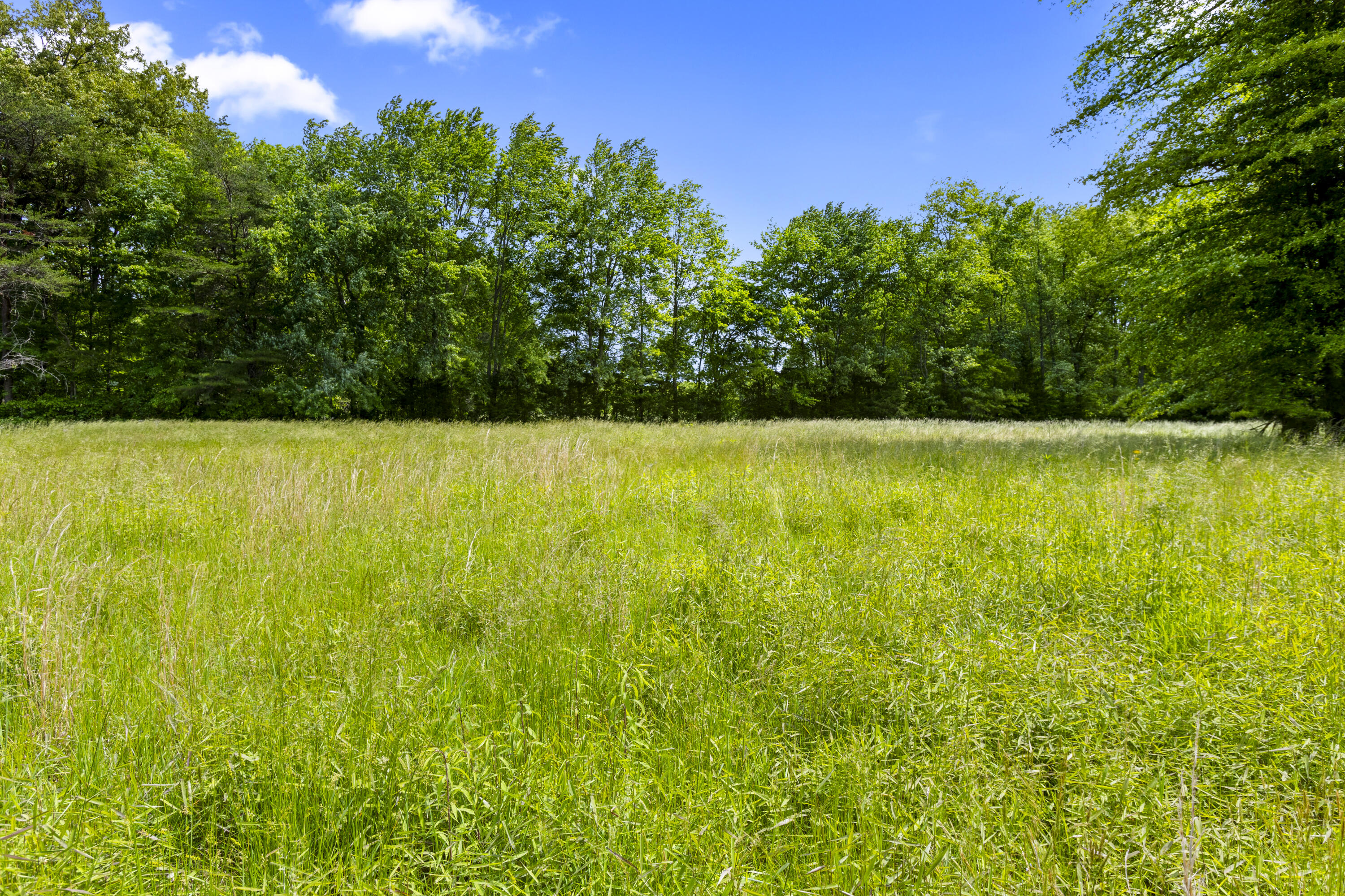 0 Old Sand Road Salt Lick, KY 40371 - Photo 4 of 33 I82A5292