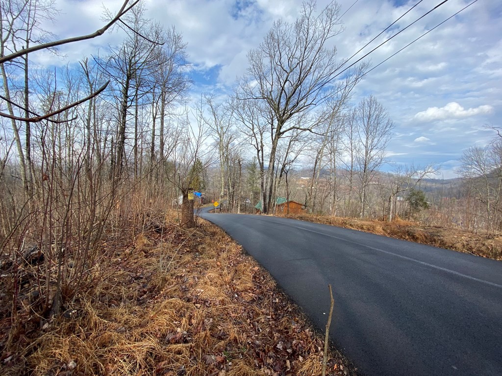 0 Loop Road Gatlinburg, TN 37738 - Photo 2 of 3 Gallery Image 2