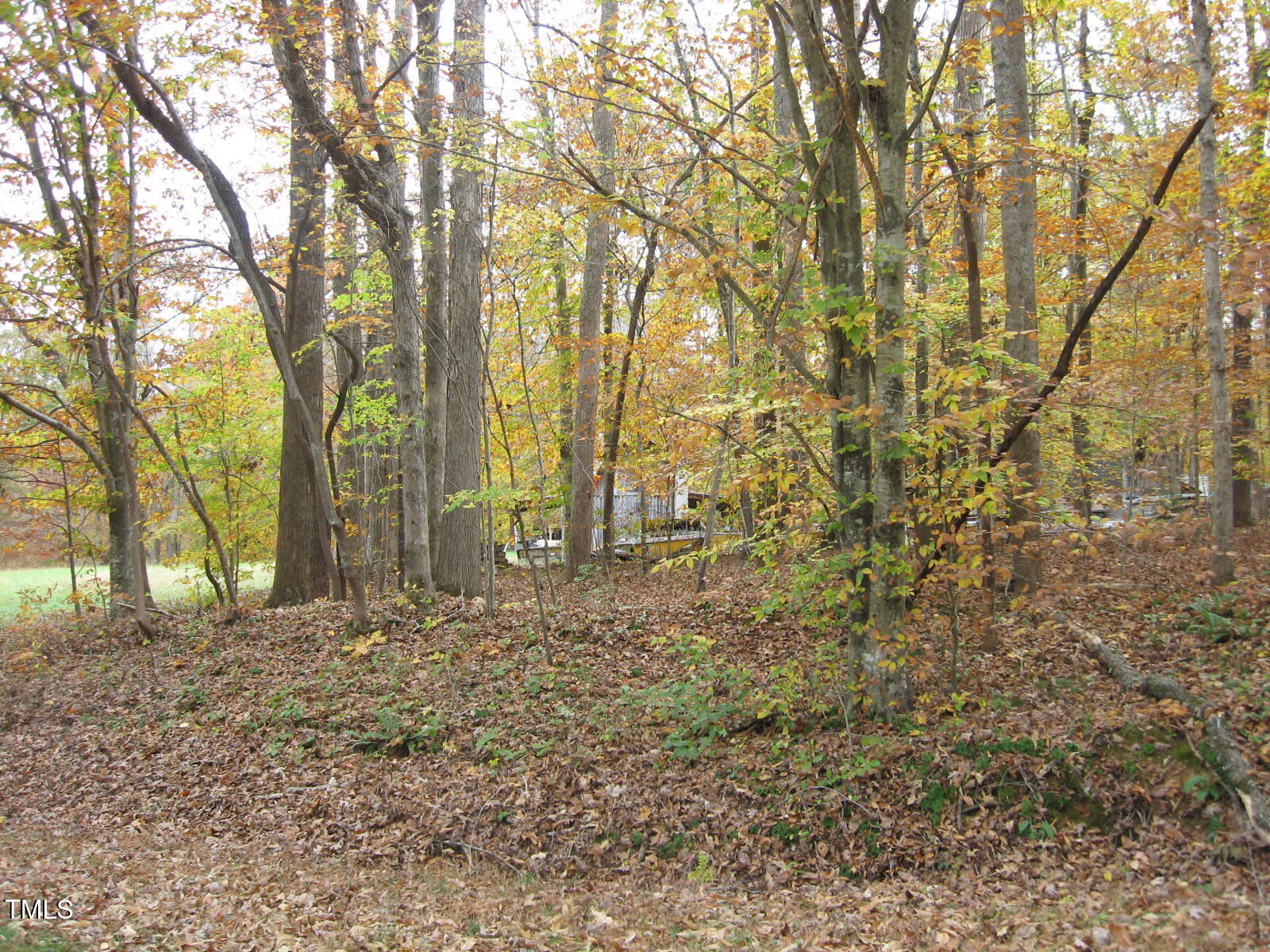 0 Creek Point Road Haw River, NC 27258 - Photo 1 of 3 1980-01-01 00.02.30